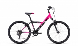 CTM WILLY 2024 black / pink